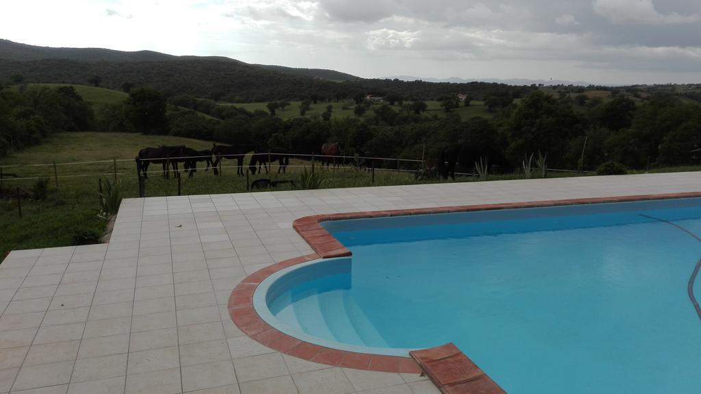 Agriturismo Collelungo Di Maremma Diaccialone Exterior photo