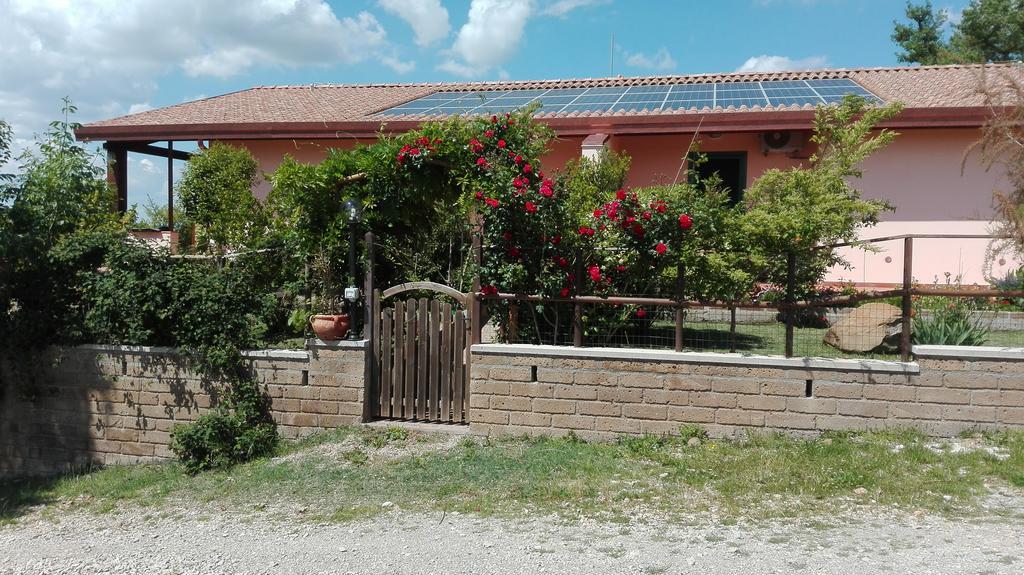 Agriturismo Collelungo Di Maremma Diaccialone Exterior photo