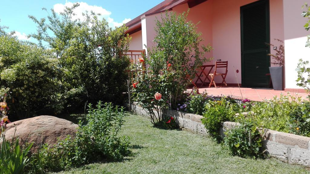 Agriturismo Collelungo Di Maremma Diaccialone Exterior photo