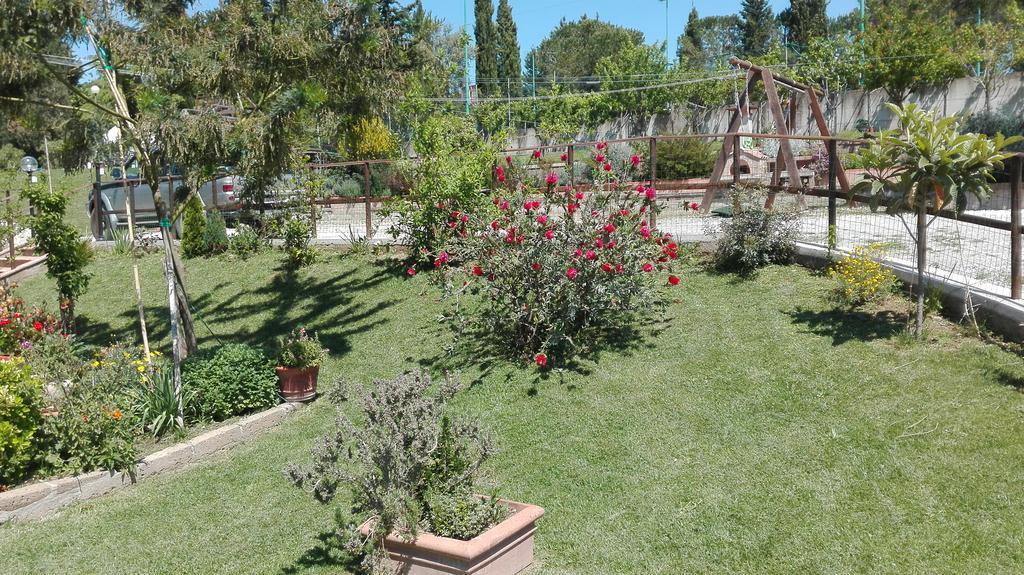Agriturismo Collelungo Di Maremma Diaccialone Exterior photo
