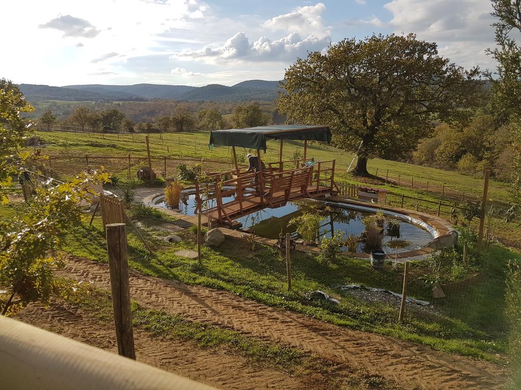 Agriturismo Collelungo Di Maremma Diaccialone Exterior photo
