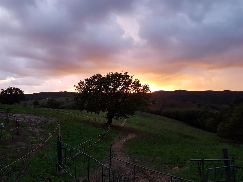 Agriturismo Collelungo Di Maremma Diaccialone Exterior photo
