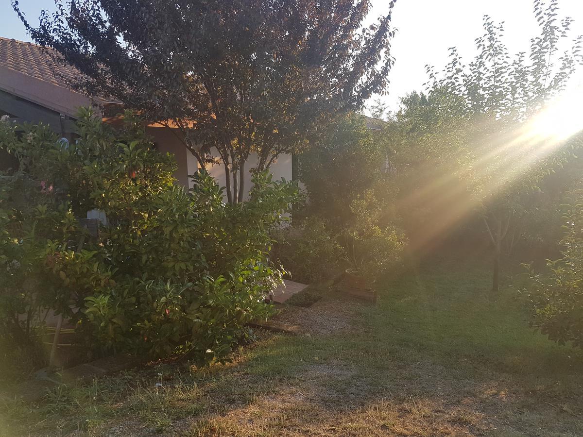 Agriturismo Collelungo Di Maremma Diaccialone Exterior photo